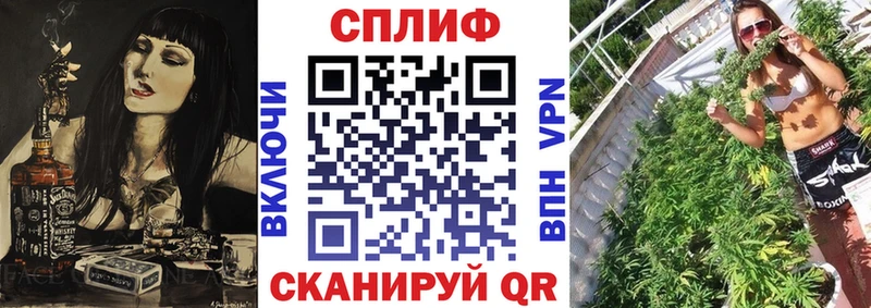 Купить где  Белёв  Шишки марихуана OG Kush 